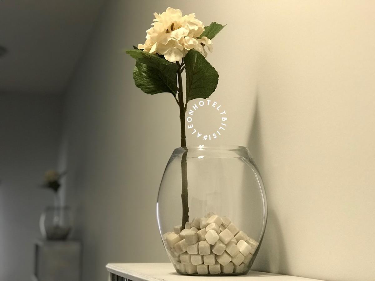 טביליסי Aleon Hotel מראה חיצוני תמונה